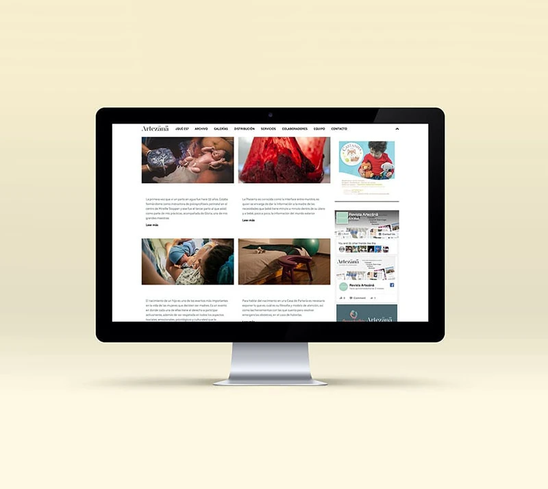 Revista Artezana