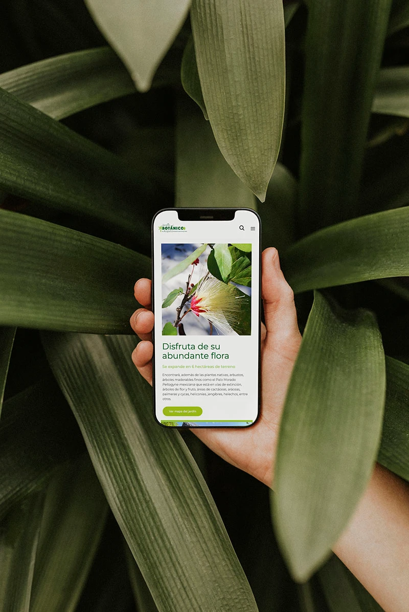 Jardin Botanico Acapulco