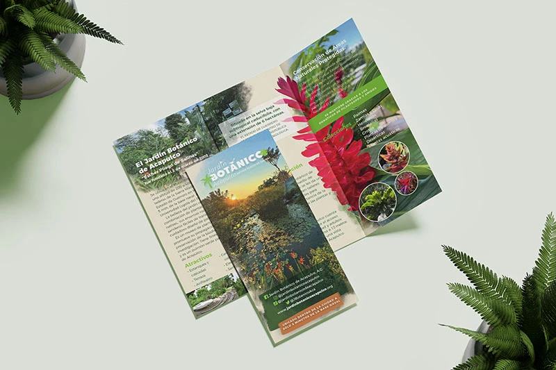 Jardin Botanico Acapulco