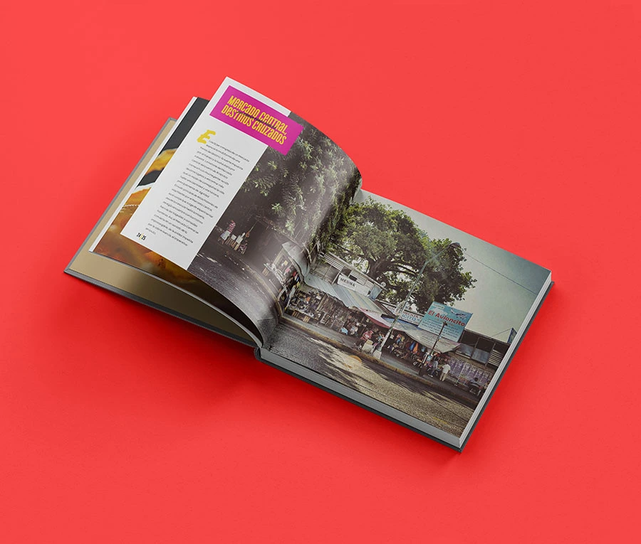 Libro Mercado Central de Acapulco